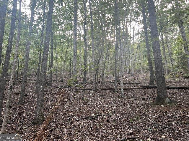 Land for sale in Bartow, Georgia