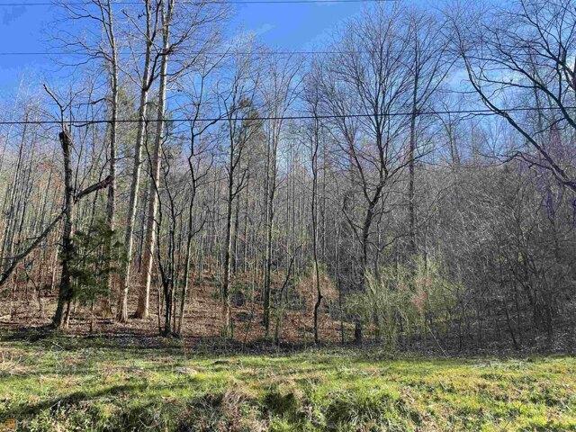 House for sale in Bartow, Georgia