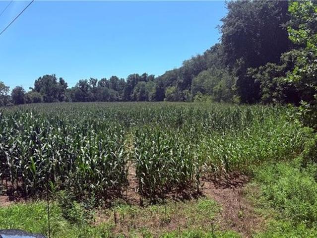 Land for sale in Dobson, North Carolina