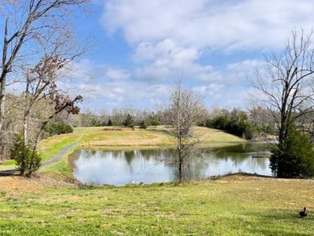 Land for sale in Pontotoc, Mississippi