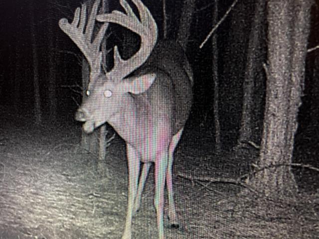 Land for sale in Starkville, Mississippi