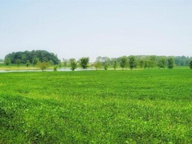 Land for sale in De Pere
