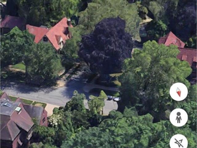 Land for sale in Forest Hills Land for sale in Forest Hills