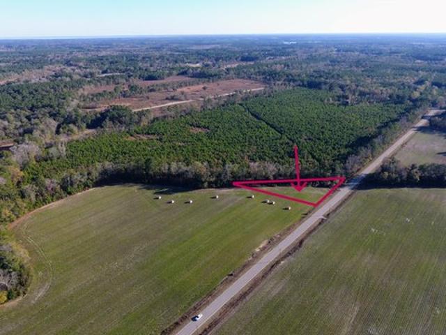 Land for sale in Eutawville, South Carolina