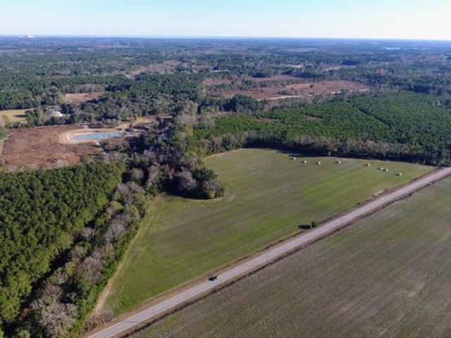 Land for sale in Eutawville, South Carolina