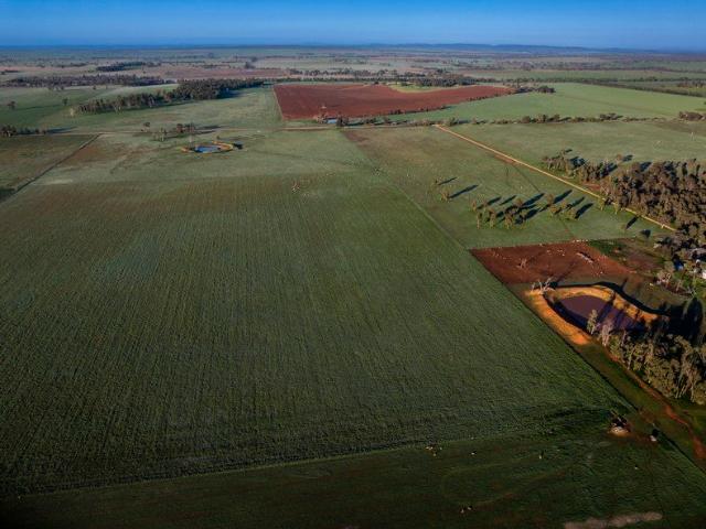 Cottage for sale in Cooks Myalls, New South Wales