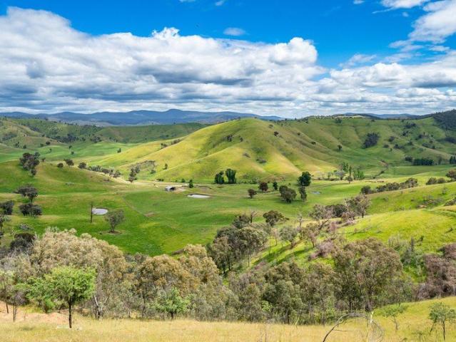 Cottage for sale in Jingellic, Snowy Valleys Council
