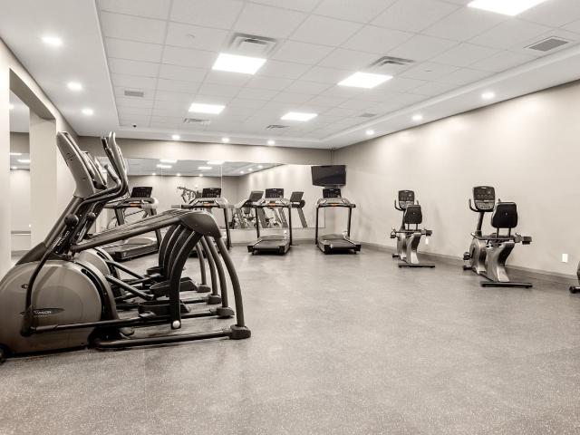 Apartment for rent in Kingston, Ontario