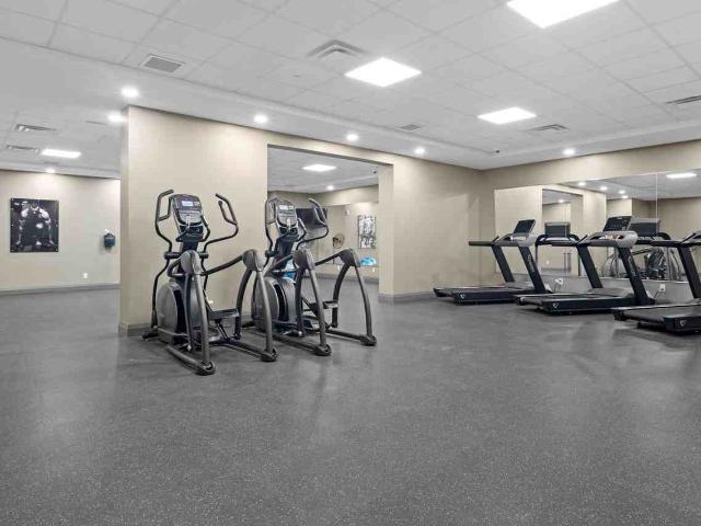 Apartment for rent in Kingston, Ontario