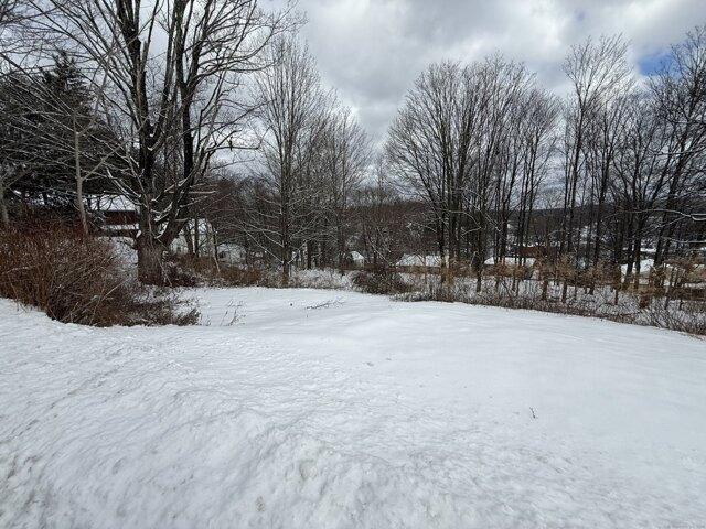 Land for sale in Winchester Center, Connecticut