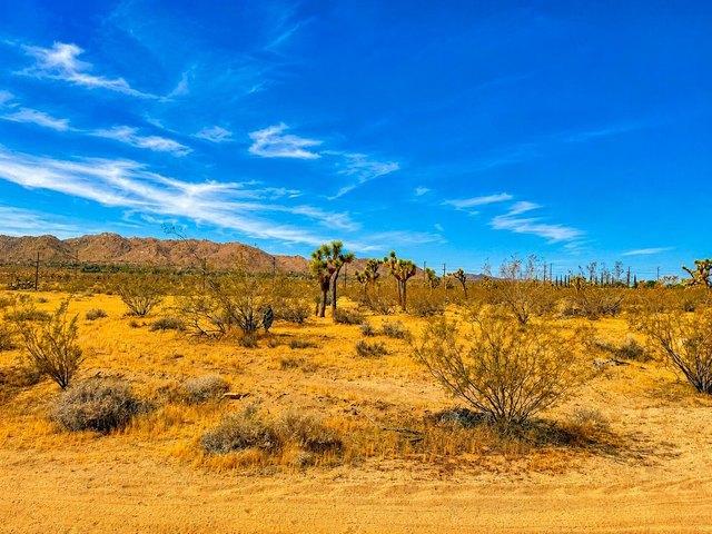 Land for sale in Joshua Tree, California