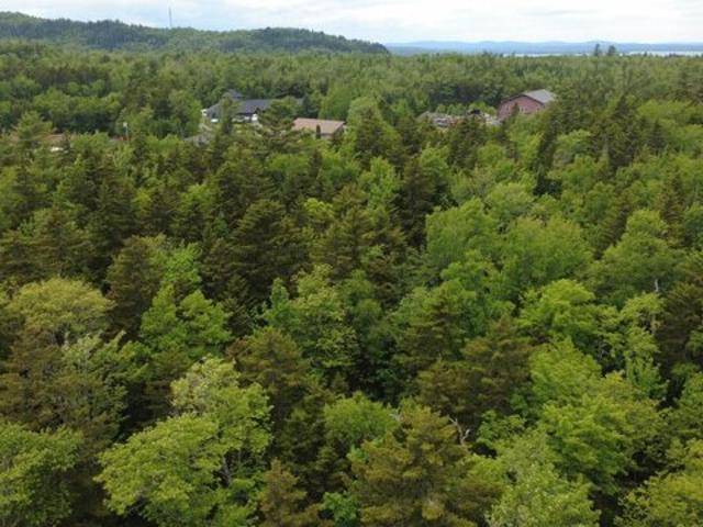 Land for sale in Maine
