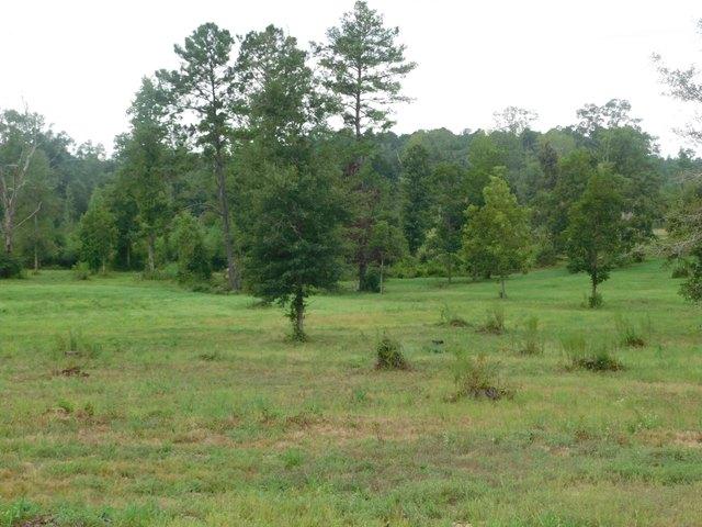 Land for sale in Columbia, Mississippi
