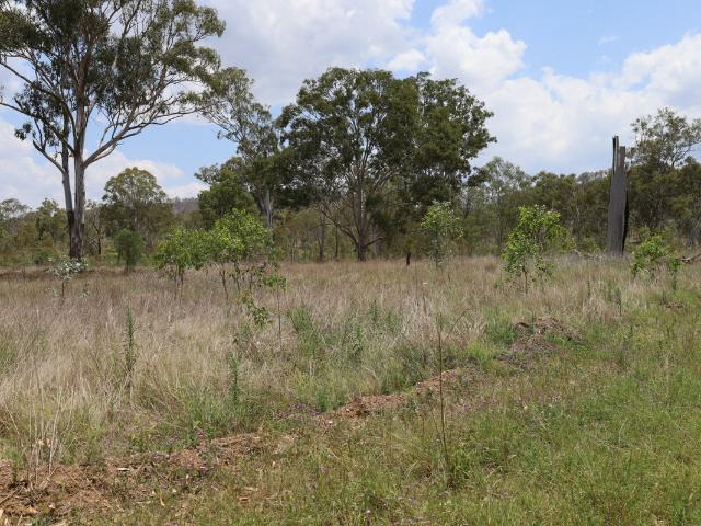 Property for sale in Monto, Queensland