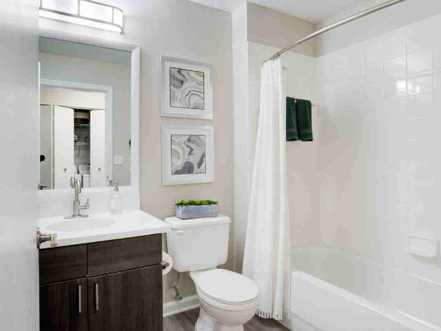 Apartment for rent in Tampa, Florida