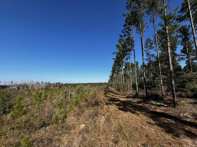 Land for sale in Marianna