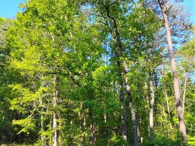 Land for sale in Westminster, South Carolina