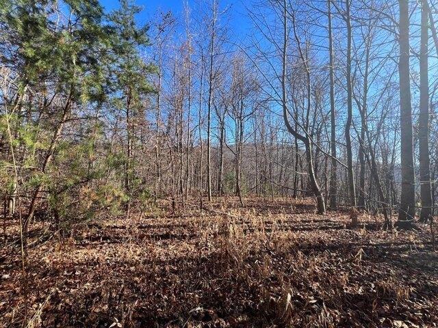 Land for sale in Virginia