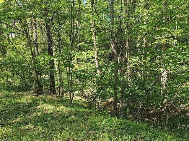 Land for sale in Wilkesboro, North Carolina
