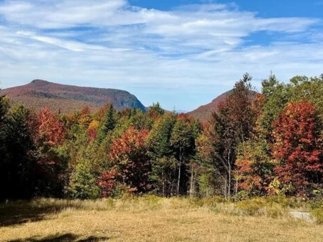 Land for sale in Newark, Caledonia County