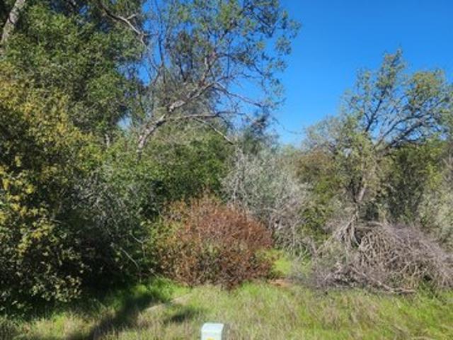 Land for sale in Coarsegold, Madera County