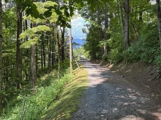 Land for sale in North Carolina