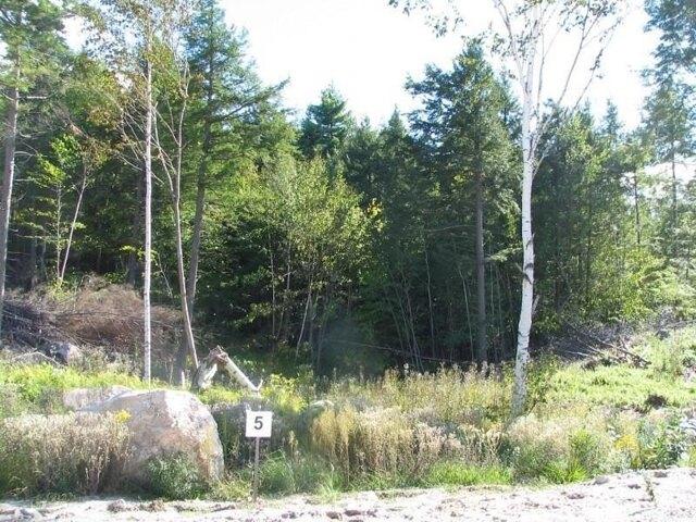 Land for sale in Naples Land for sale in Naples