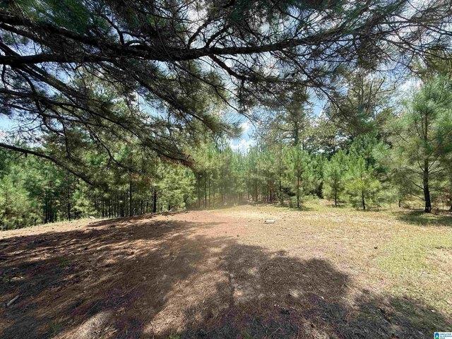 Land for sale in West Blocton, Alabama