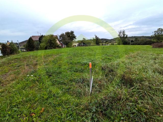 Terrain vente à Sarrebourg-Château-Salins, Rodalbe