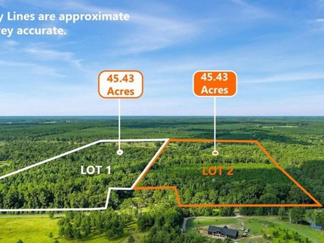 Land for sale in Dodge, Georgia