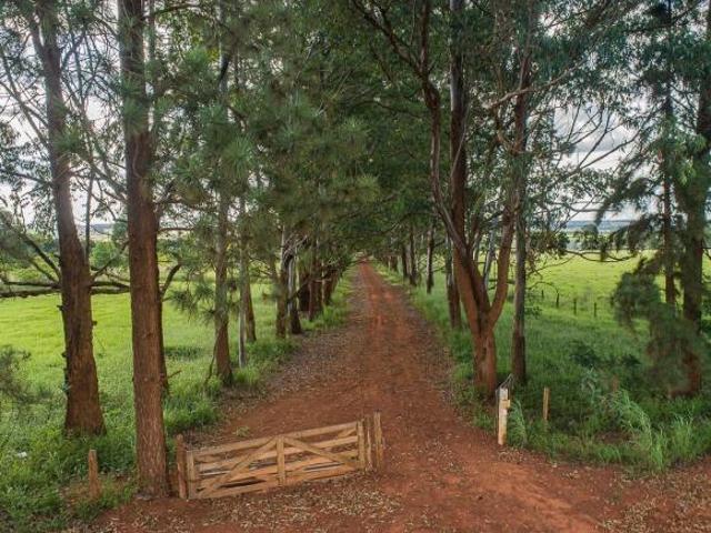 Sítio e chácara venda em Região Geográfica Imediata do Distrito Federal, Região Integrada de Desenvolvimento do Distrito Federal e Entorno