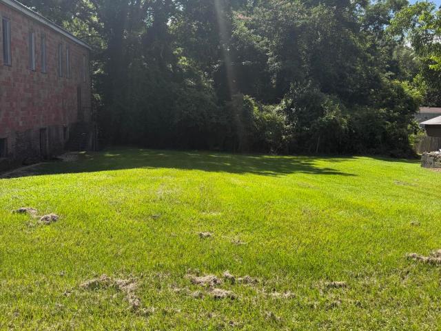 Land for sale in Bogue Chitto, Mississippi