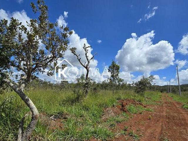 Sítio e chácara venda em Região Geográfica Imediata do Distrito Federal, Região Integrada de Desenvolvimento do Distrito Federal e Entorno