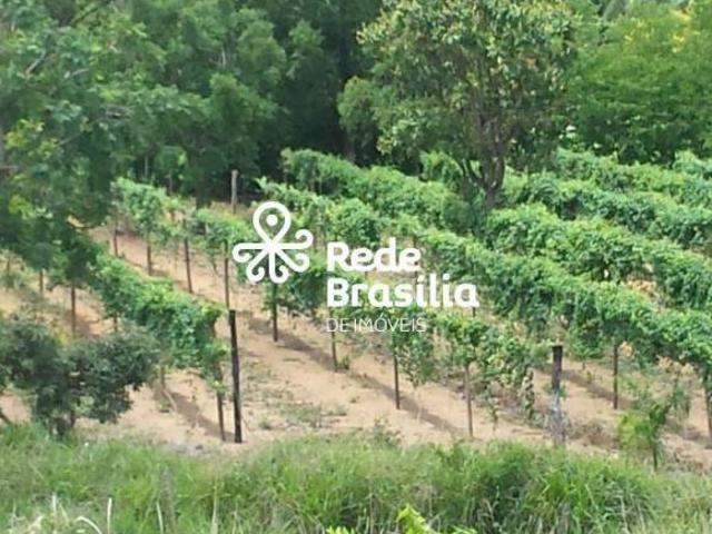 Sítio e chácara venda em Região Geográfica Imediata do Distrito Federal, Região Integrada de Desenvolvimento do Distrito Federal e Entorno