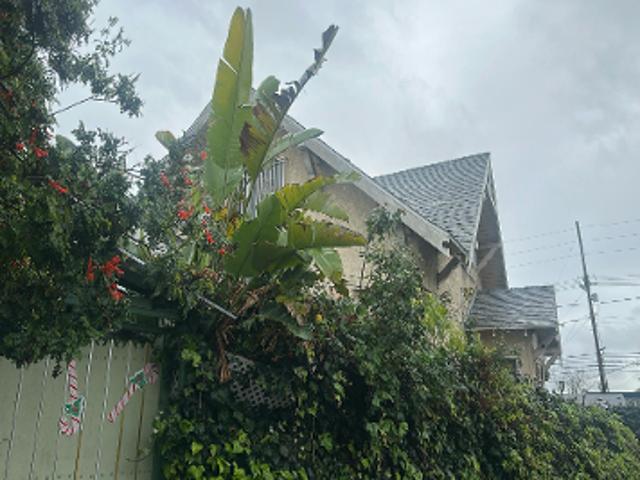 House for sale in Boyle Heights, Los Angeles