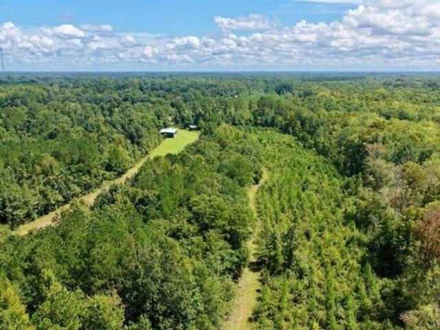 Land for sale in Millen, Jenkins County