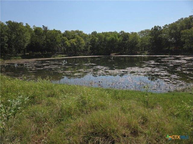 Land for sale in Milam, Texas