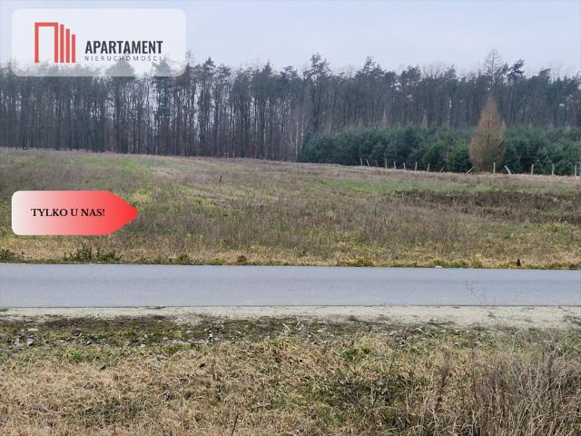 Grunt na sprzedaż w Rogowo, Kujawsko-pomorskie