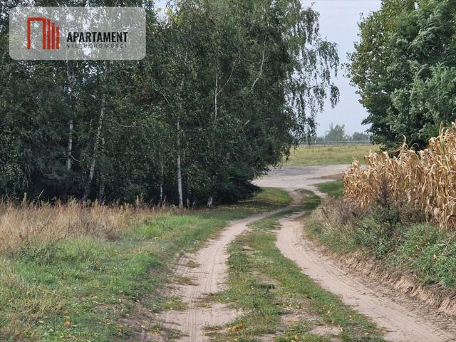 Grunt na sprzedaż w Rogowo, Kujawsko-pomorskie