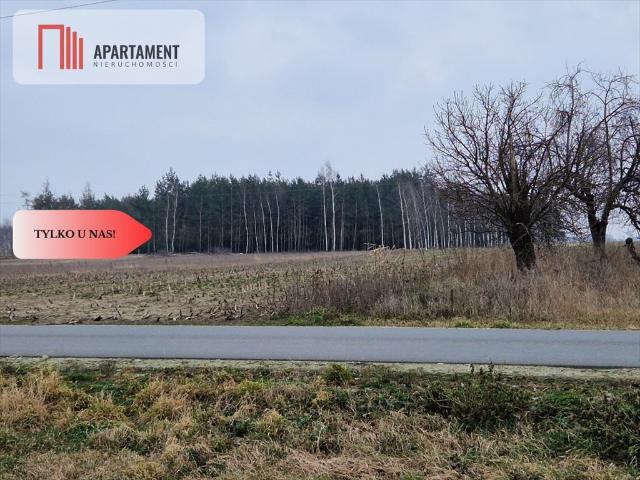 Grunt na sprzedaż w Rogowo, Kujawsko-pomorskie