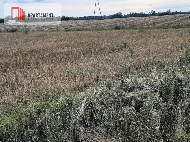 Grunt na sprzedaż w Rogowo, Kujawsko-pomorskie