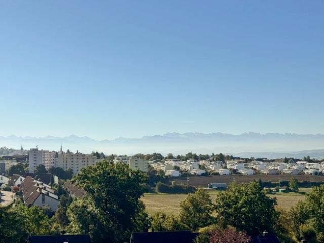 Wohnung kaufen in Widen, Bezirk Bremgarten