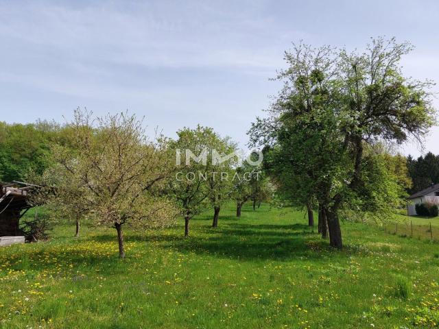 Haus kaufen in Deutsch Kaltenbrunn, Burgenland