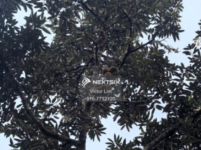 Shop for sale in Johor