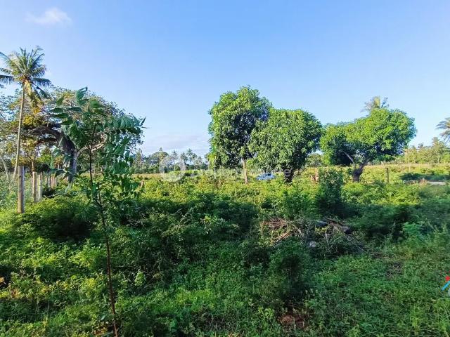 Land for sale in Kilifi