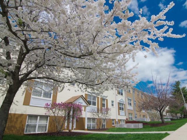 Apartment for rent in Gibsonton, Maryland