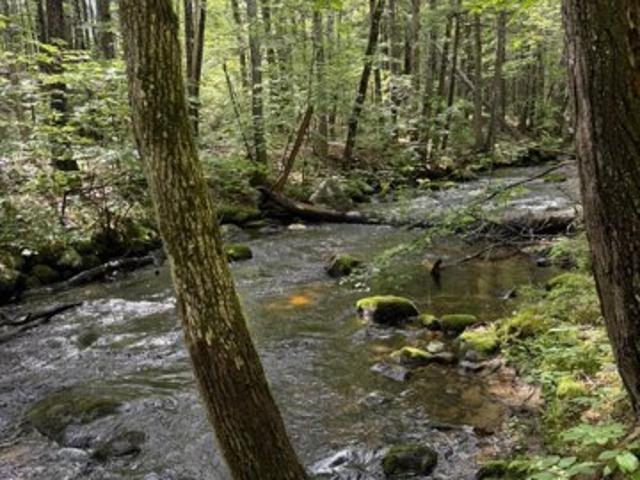 Land for sale in Harrison, Maine