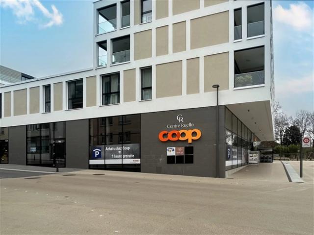 Wohnung mieten in Rolle, Waadt