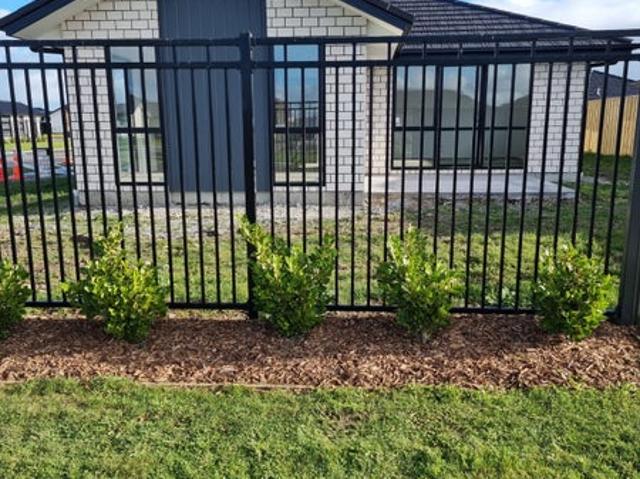 House for rent in West Village Faringdon, Rolleston