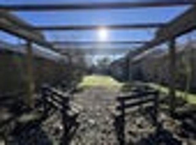 House for rent in Rolleston, Canterbury